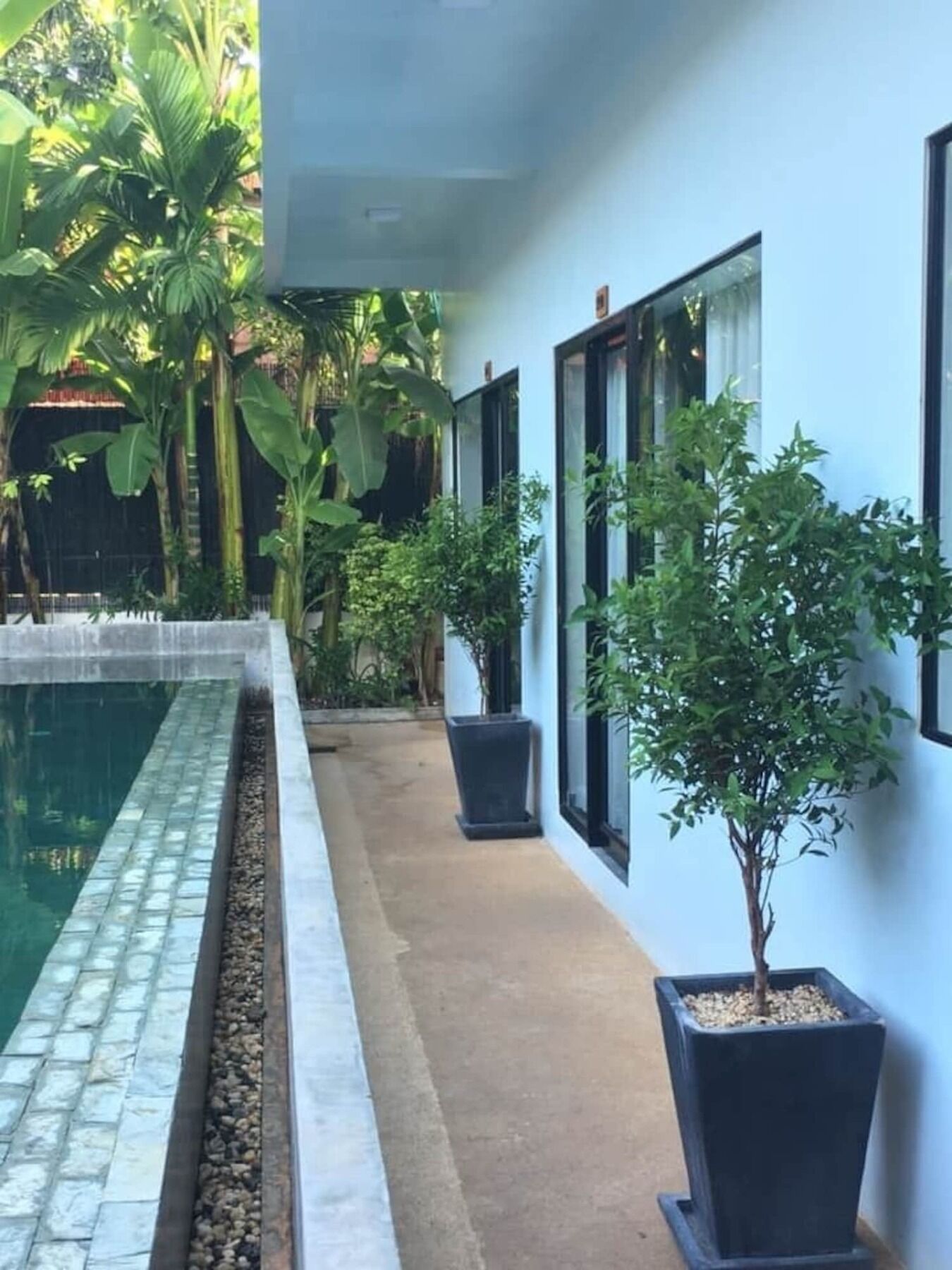 Villa D'Orange Siem Reap Dış mekan fotoğraf